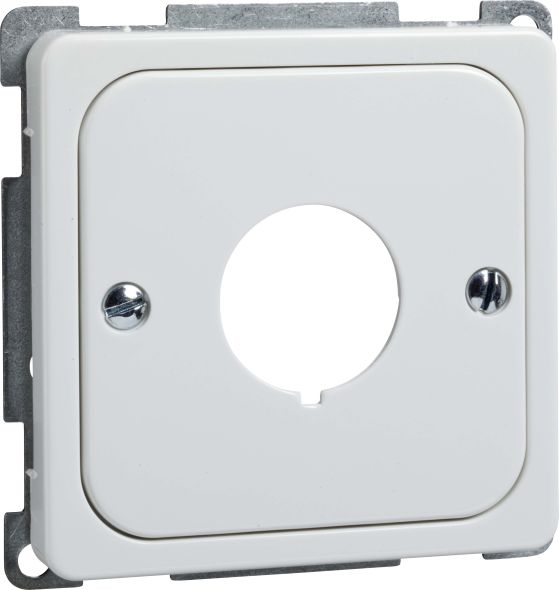 Zentralplatte rw 203064