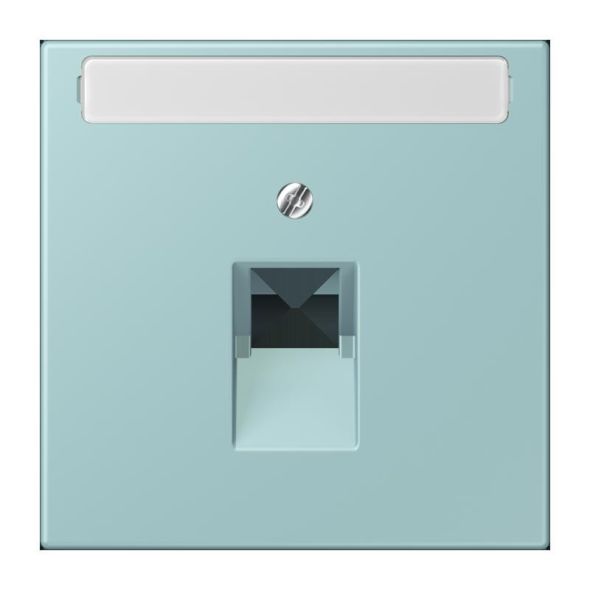 Abdeckung für IAE/UAE LC 969-1 NAUA 214 Abdeckung für IAE/UAE LC 969-1 NAUA 214