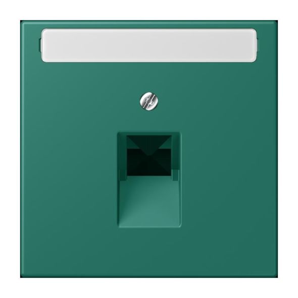 Abdeckung für IAE/UAE LC 969-1 NAUA 216