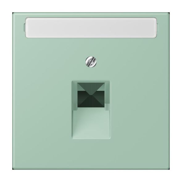 Abdeckung für IAE/UAE LC 969-1 NAUA 217 Abdeckung für IAE/UAE LC 969-1 NAUA 217