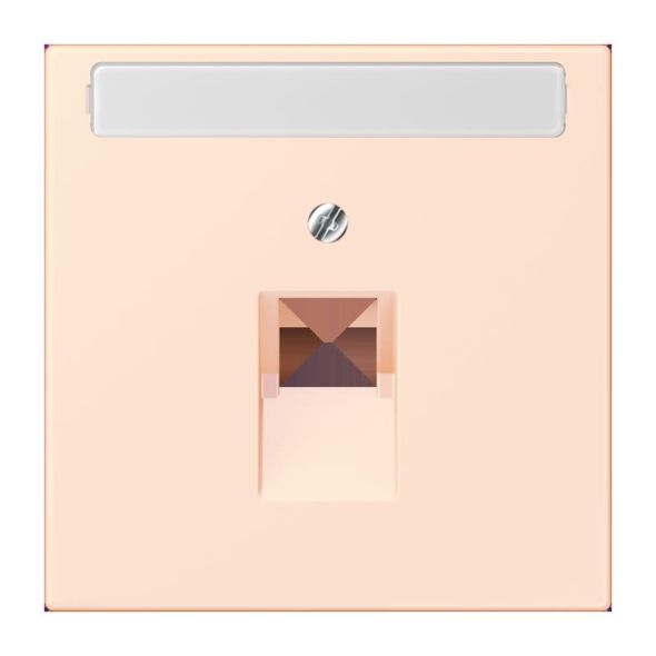 Abdeckung für IAE/UAE LC 969-1 NAUA 226