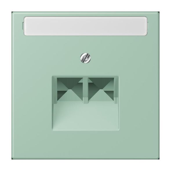 Abdeckung für IAE/UAE LC 969-2 NAUA 217