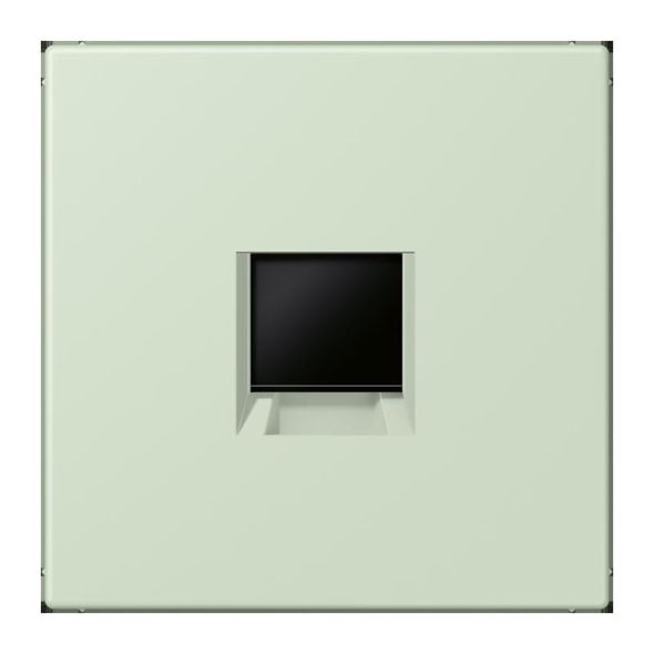 Abdeckung (gerastet) LC 1969-1 WE 218