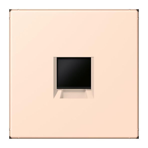 Abdeckung (gerastet) LC 1969-1 WE 228