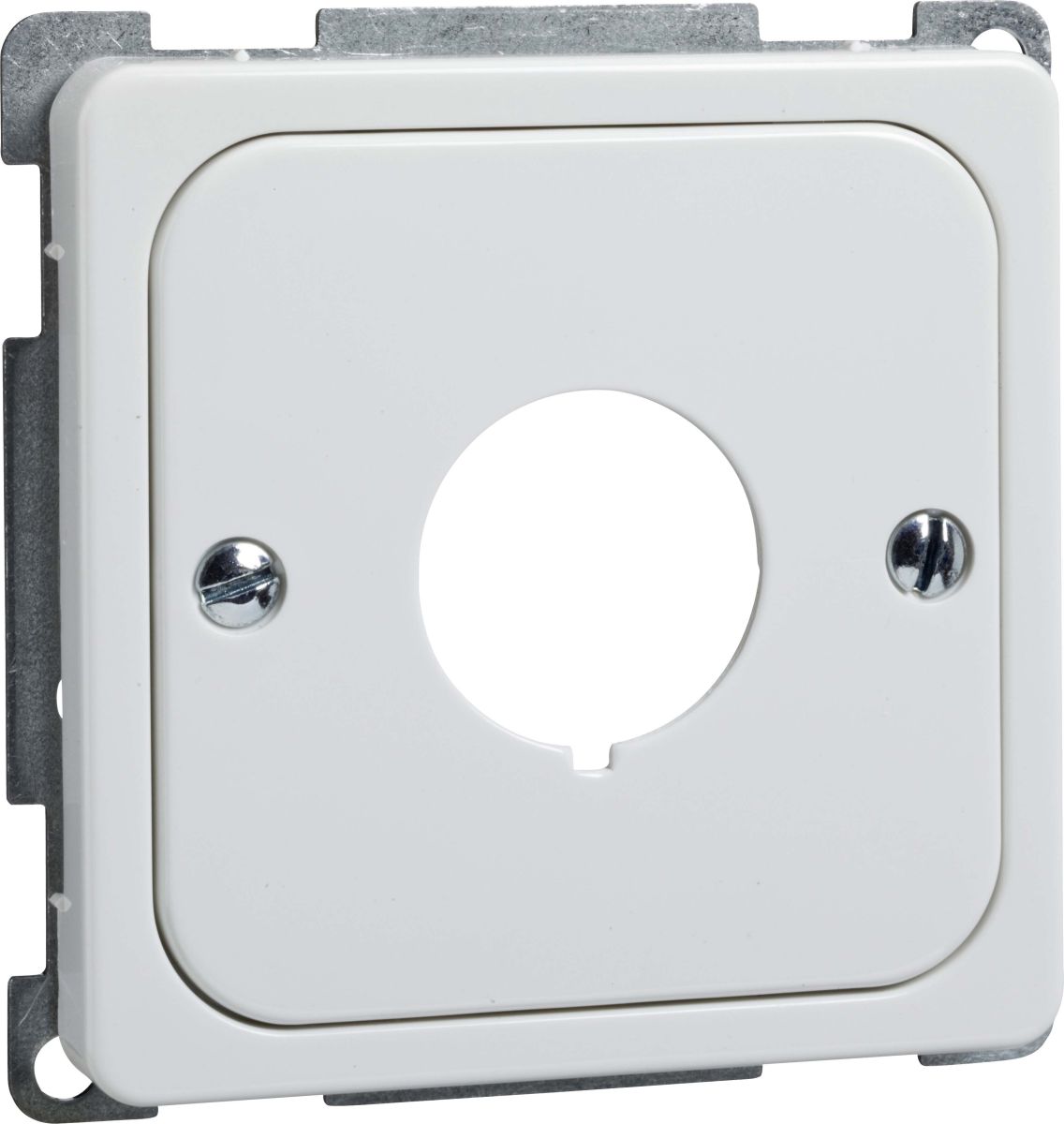 Zentralplatte rw 203064