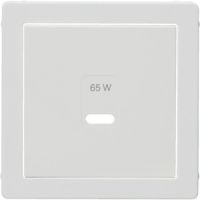 Zentralplatte 48606089