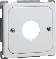 Zentralplatte rw 203064