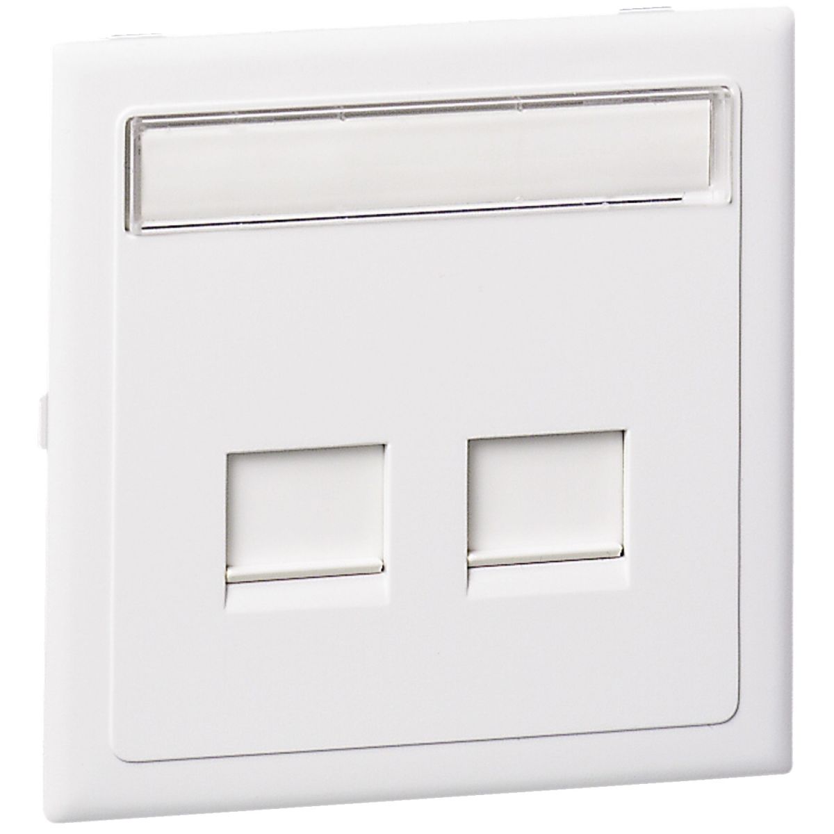 Datenauslass 2fach CYB-BK6 5970093