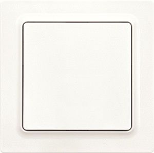 Wippschalter WS55E-pm Wippschalter WS55E-pm