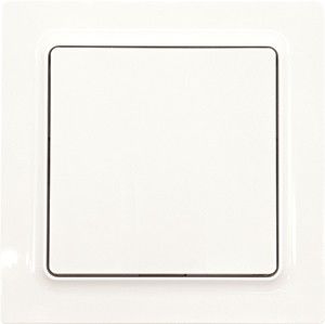 Wippschalter WS55E-pg Wippschalter WS55E-pg