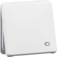 SCHUKO-Steckdose rws D 80.6611.02 K WU SI