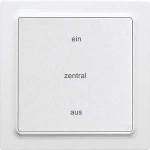 Funk-2-Kanal-Taster F2ZT55E-am Funk-2-Kanal-Taster F2ZT55E-am