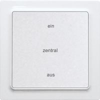 Funk-2-Kanal-Taster F2ZT55E-am