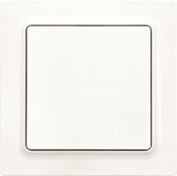 Funkschalter FS55E-pm