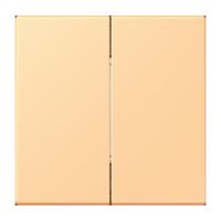 Hue Funk-Wandsender Set FOH LC 995 258