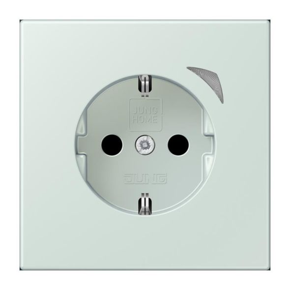 SCHUKO Steckdose BT LC 1521 S 215 SCHUKO Steckdose BT LC 1521 S 215