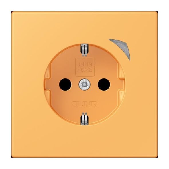 SCHUKO Steckdose BT LC 1521 S 254