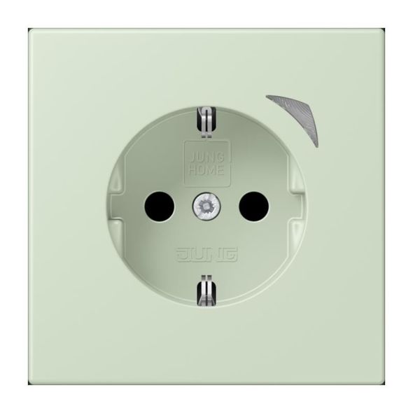 SCHUKO Steckdose BT LC 1521 SE 218