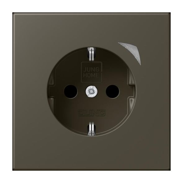 SCHUKO Steckdose BT LC 1521 SE 241