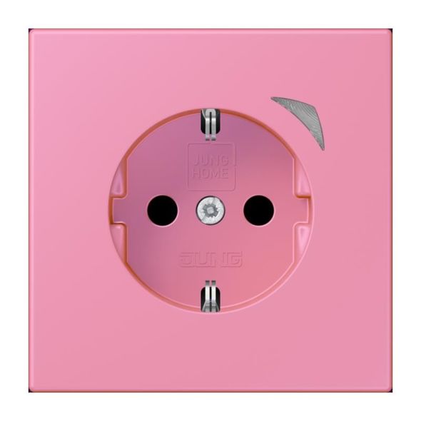 SCHUKO Steckdose BT LC 1521 SE 246