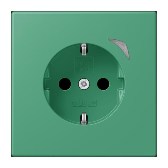 SCHUKO Steckdose BT LC 1521 SE 250 SCHUKO Steckdose BT LC 1521 SE 250