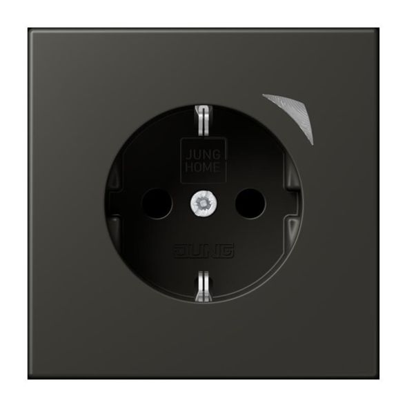 SCHUKO Steckdose BT LC 1521 SE 259