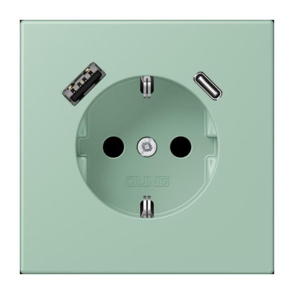 SCHUKO Steckdose LC 1520-15 CA 217