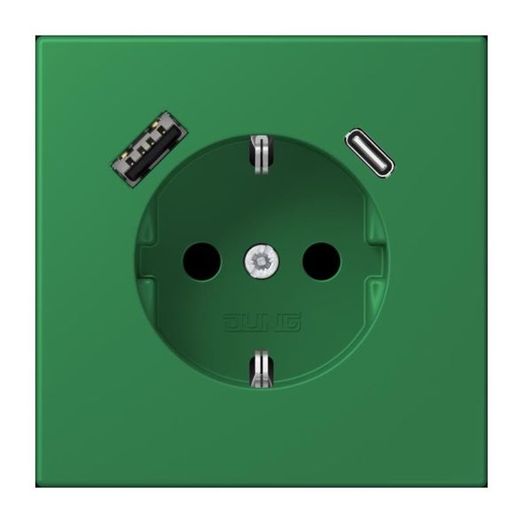 SCHUKO Steckdose LC 1520-15 CA 219