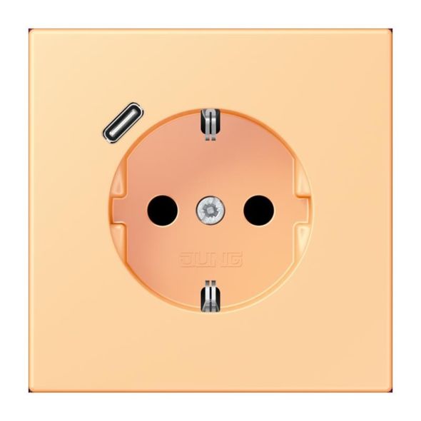 SCHUKO Steckdose LC 1520-18C 258 SCHUKO Steckdose LC 1520-18C 258