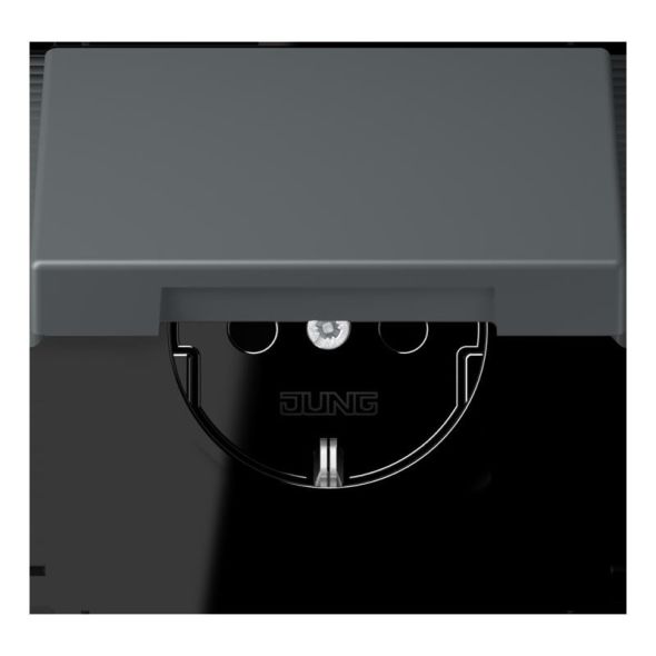 SCHUKO Steckdose LC 1520 BFKIKL 202