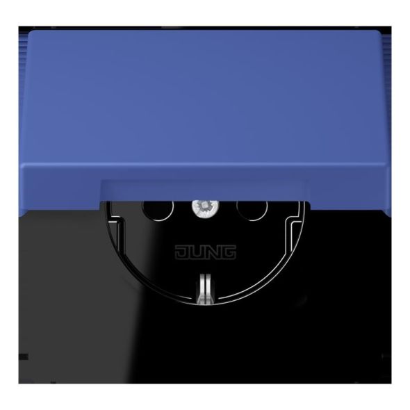 SCHUKO Steckdose LC 1520 BFKIKL 206