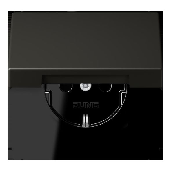 SCHUKO Steckdose LC 1520 BFKIKL 259