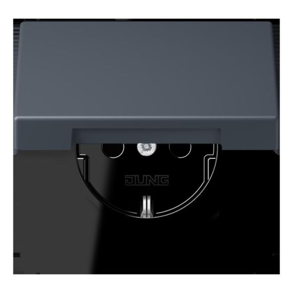 SCHUKO Steckdose LC 1520 BFKIKL 262