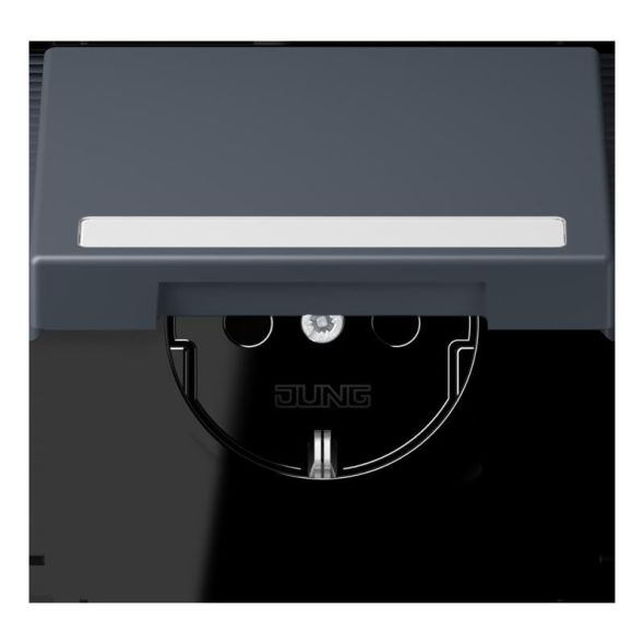 SCHUKO Steckdose LC 1520 BFNAKL 262