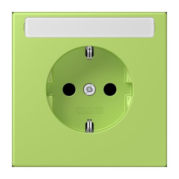 SCHUKO Steckdose LC 1520 N 221