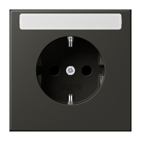 SCHUKO Steckdose LC 1520 N 259