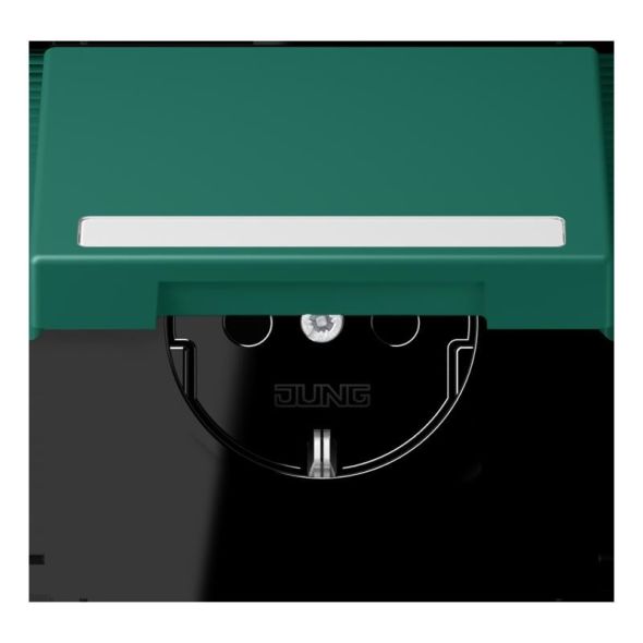 SCHUKO Steckdose LC 1520 NBFKL 216