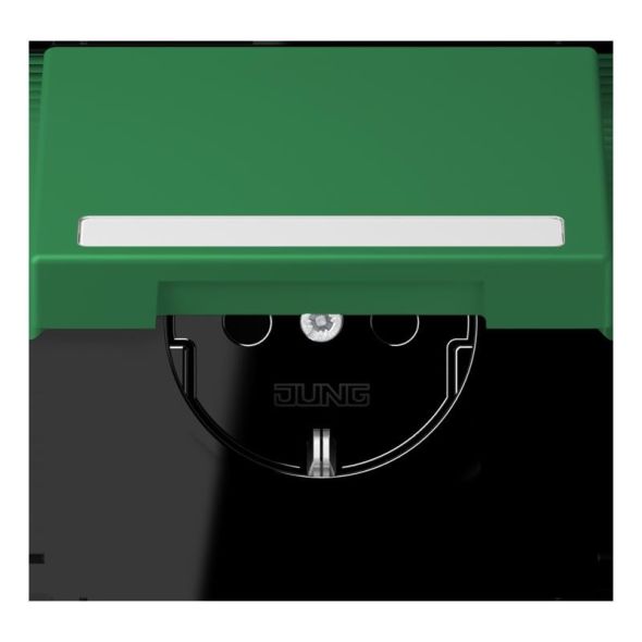 SCHUKO Steckdose LC 1520 NBFKL 219