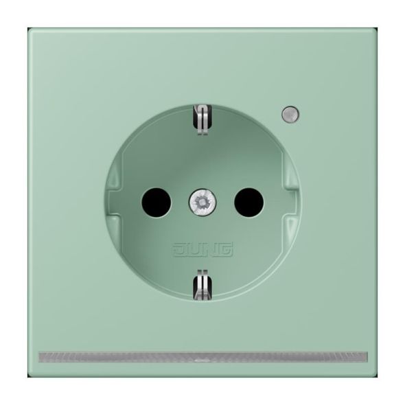 SCHUKO Steckdose LC 1520-O LNW 217 SCHUKO Steckdose LC 1520-O LNW 217