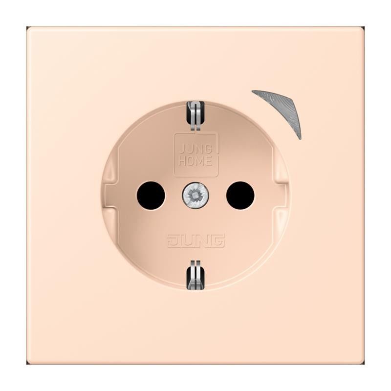 SCHUKO Steckdose BT LC 1521 S 228