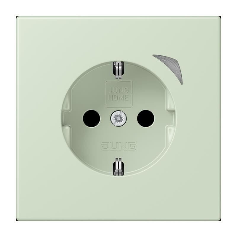 SCHUKO Steckdose BT LC 1521 SE 218