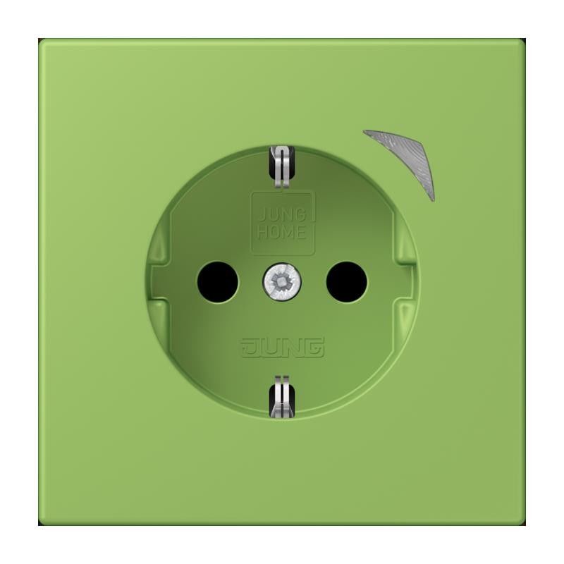 SCHUKO Steckdose BT LC 1521 SE 220