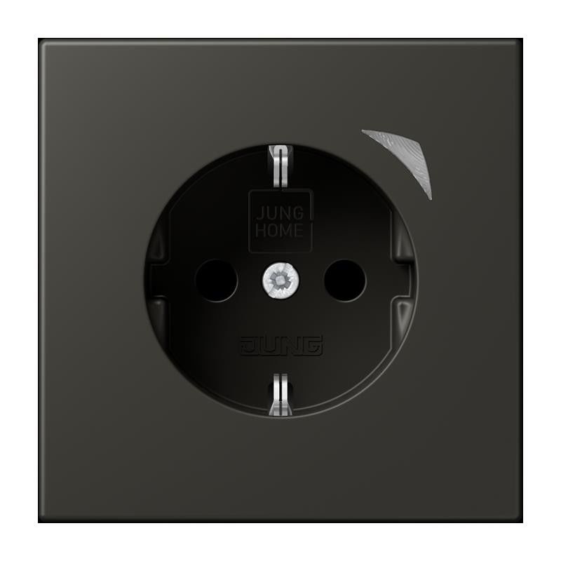 SCHUKO Steckdose BT LC 1521 SE 259