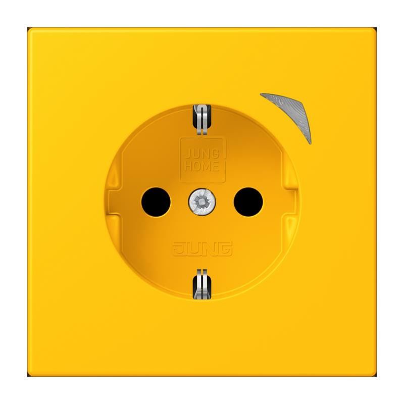 SCHUKO Steckdose BT LC 1521 SE 263