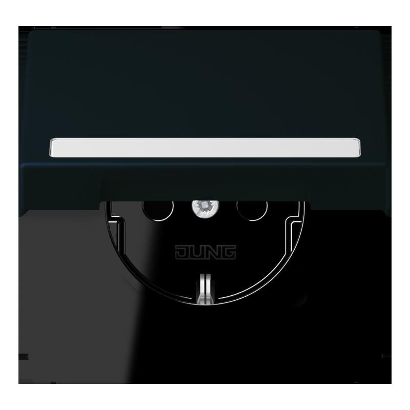 SCHUKO Steckdose LC 1520 BFNAKL 248