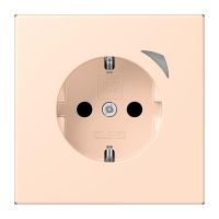 SCHUKO Steckdose BT LC 1521 S 228