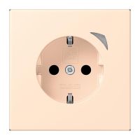 SCHUKO Steckdose BT LC 1521 S 238