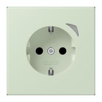 SCHUKO Steckdose BT LC 1521 SE 218