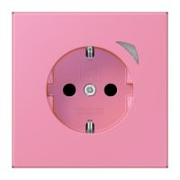 SCHUKO Steckdose BT LC 1521 SE 246