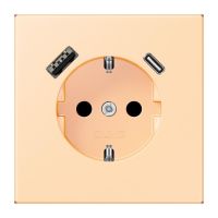 SCHUKO Steckdose LC 1520-15 CA 223